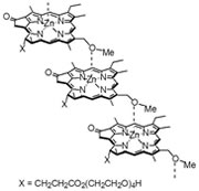 Self-aggregate of Synthetic Chlorophyllous Pigments