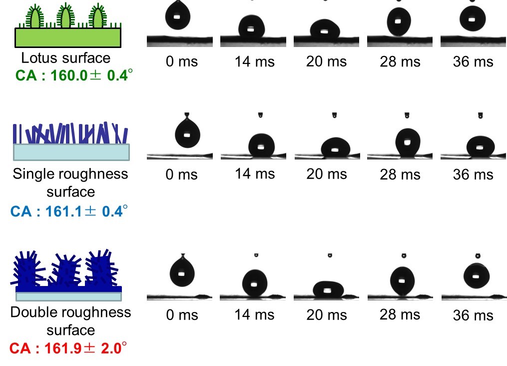 図５　各表面に水滴を落下させたときの様子　ハスの葉表面（上）、図2で示したシングルラフネス結晶膜表面、（下）ダブルラフネス結晶膜表面