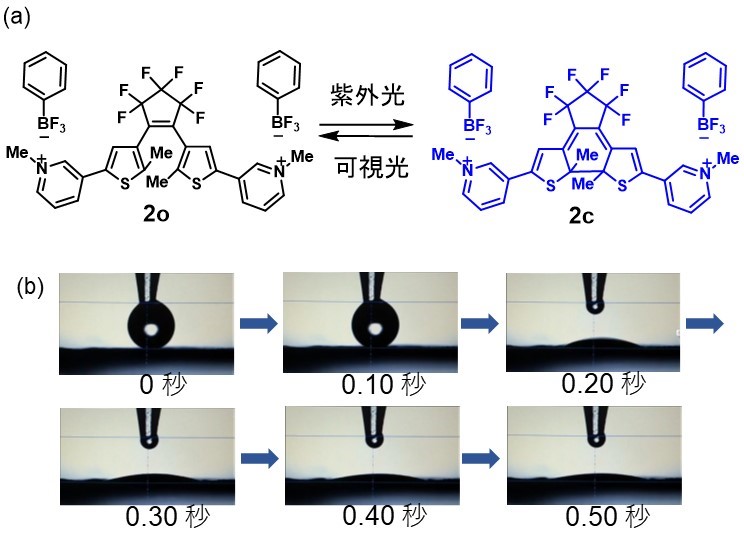 図6　超親水性を発現した 2oの分子構造(a)と、その表面に水滴を近づけた時の様子(b)