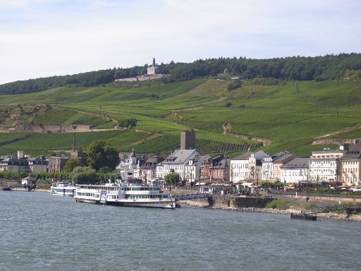 Rhine